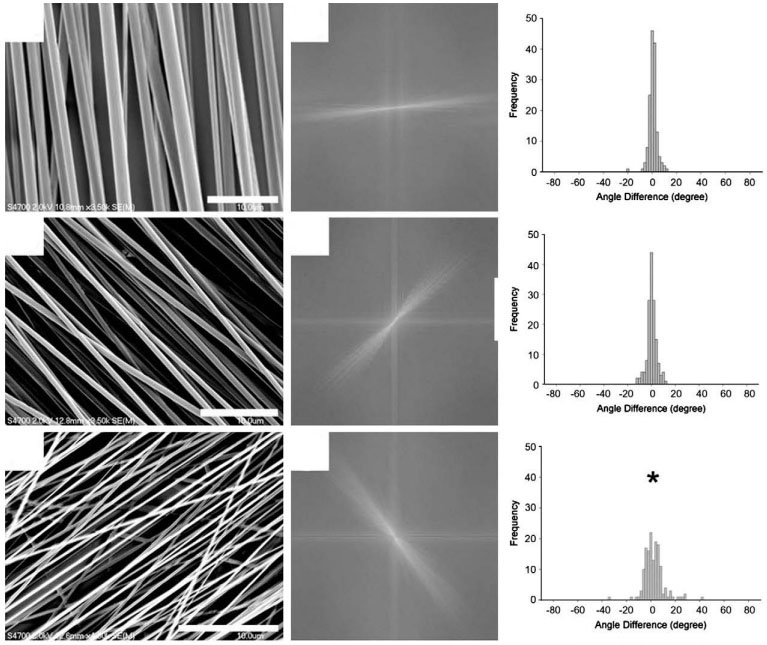 Varying the Diameter of Aligned Electrospun Fibers Alters Neurite Outgrowth and Schwann Cell Migration