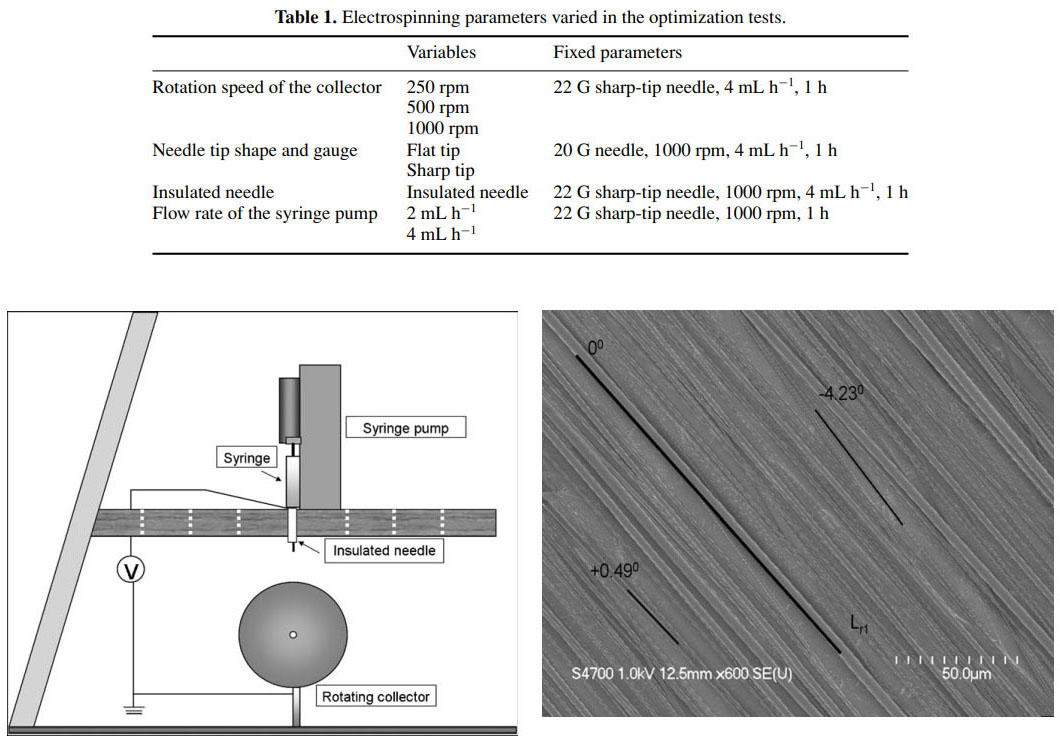 Creation of Highly Aligned Electrospun Poly-L-Lactic Acid Fibers for Nerve Regeneration Applications