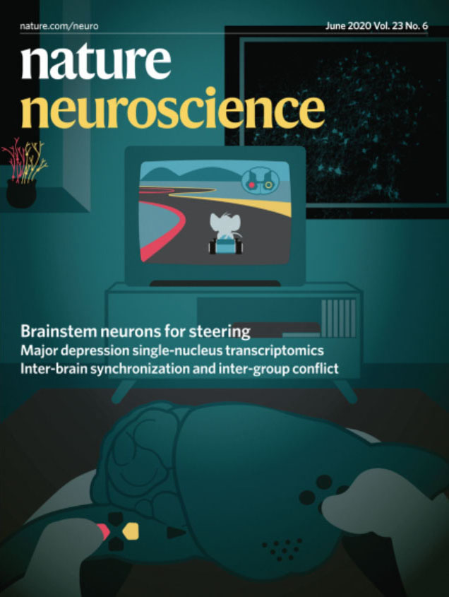 Brainstem Neurons that Command Mammalian Locomotor Asymmetries